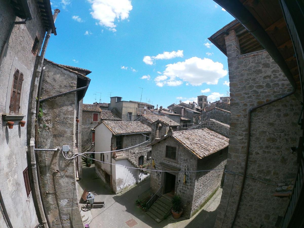 B&B Il Grifo ボマルツォ エクステリア 写真