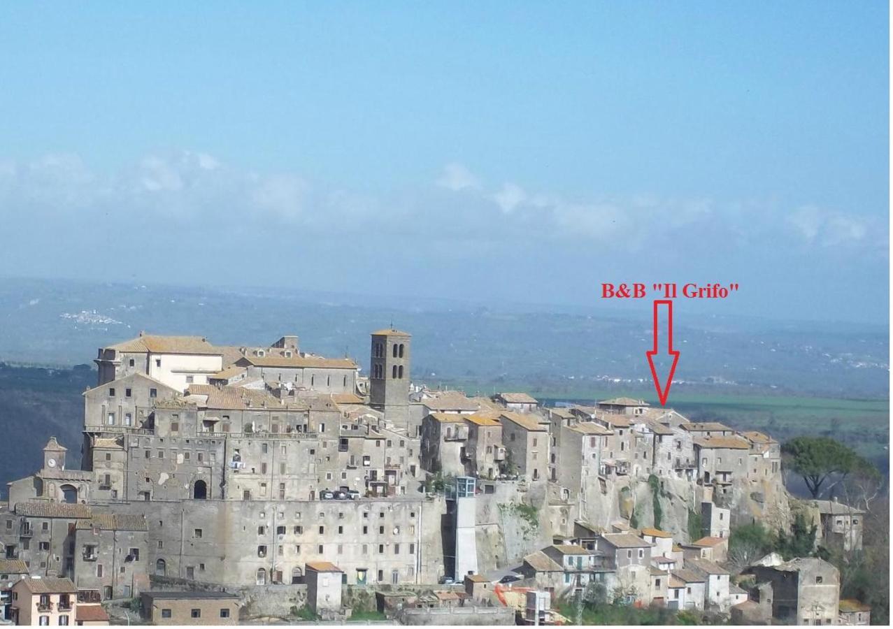 B&B Il Grifo ボマルツォ エクステリア 写真