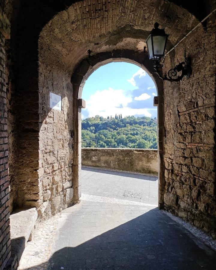 B&B Il Grifo ボマルツォ エクステリア 写真